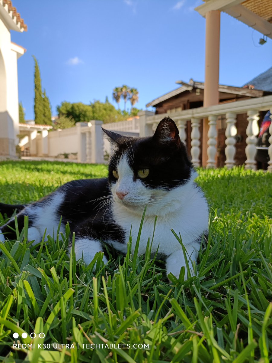 TechTabletscom's tweet image. Which does it better? Redmi K30 Ultra Vs Poco F2 Pro #RedmiK30Pro #POCOF2Pro #POCOcomingsoon