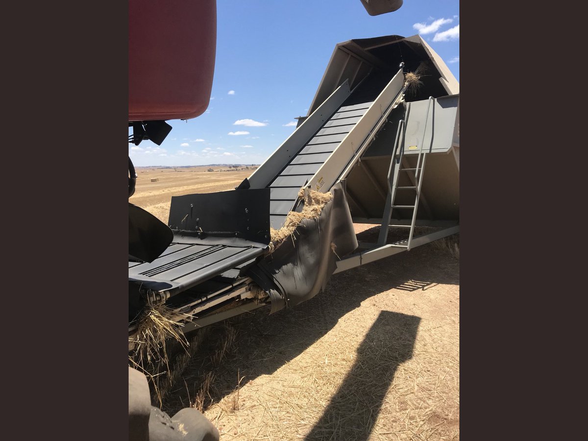 Ashley Wiese tweet media