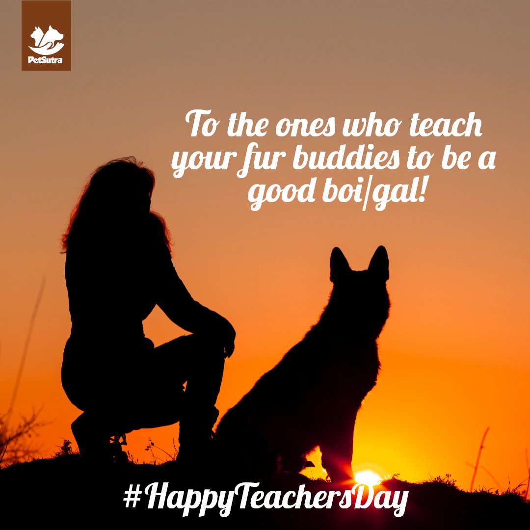 petsutra's tweet photo. Tag your Petโs Pawsome Coach in the comment below and share some love. ๐งก๐ถ Thanks to all our wonderful Pet Teachers who train and understand our beloved pets so well. #HappyTeachersDay ๐
#petsutra #wishes #teachersday #thinkpets #thinkpetsutra #pettrainers https://t.co/q2mqVbO0k2