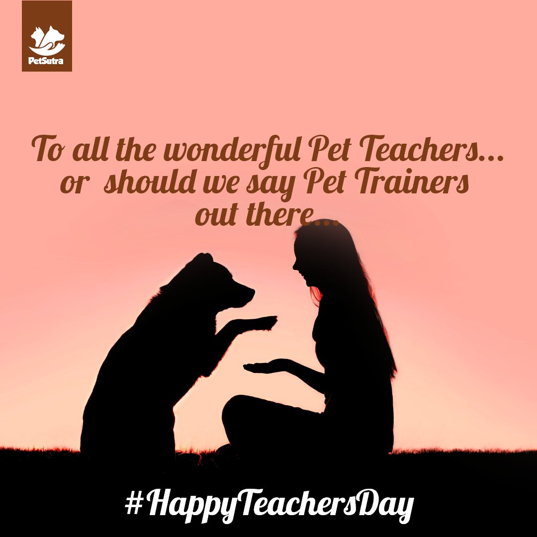 petsutra's tweet photo. Tag your Petโs Pawsome Coach in the comment below and share some love. ๐งก๐ถ Thanks to all our wonderful Pet Teachers who train and understand our beloved pets so well. #HappyTeachersDay ๐
#petsutra #wishes #teachersday #thinkpets #thinkpetsutra #pettrainers https://t.co/q2mqVbO0k2