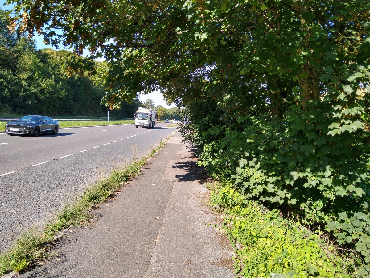 Shocking state of so called cycle path to #Lewes from #Brighton. Overgrown &amp; appalling surface, too narrow &amp; inches from traffic <a href="/HighwaysSEAST/">National Highways: South-East</a> @HighwaysEngland shouldn't be allowed to build more roads until it can provide safe walking &amp; cycling facilities across its network