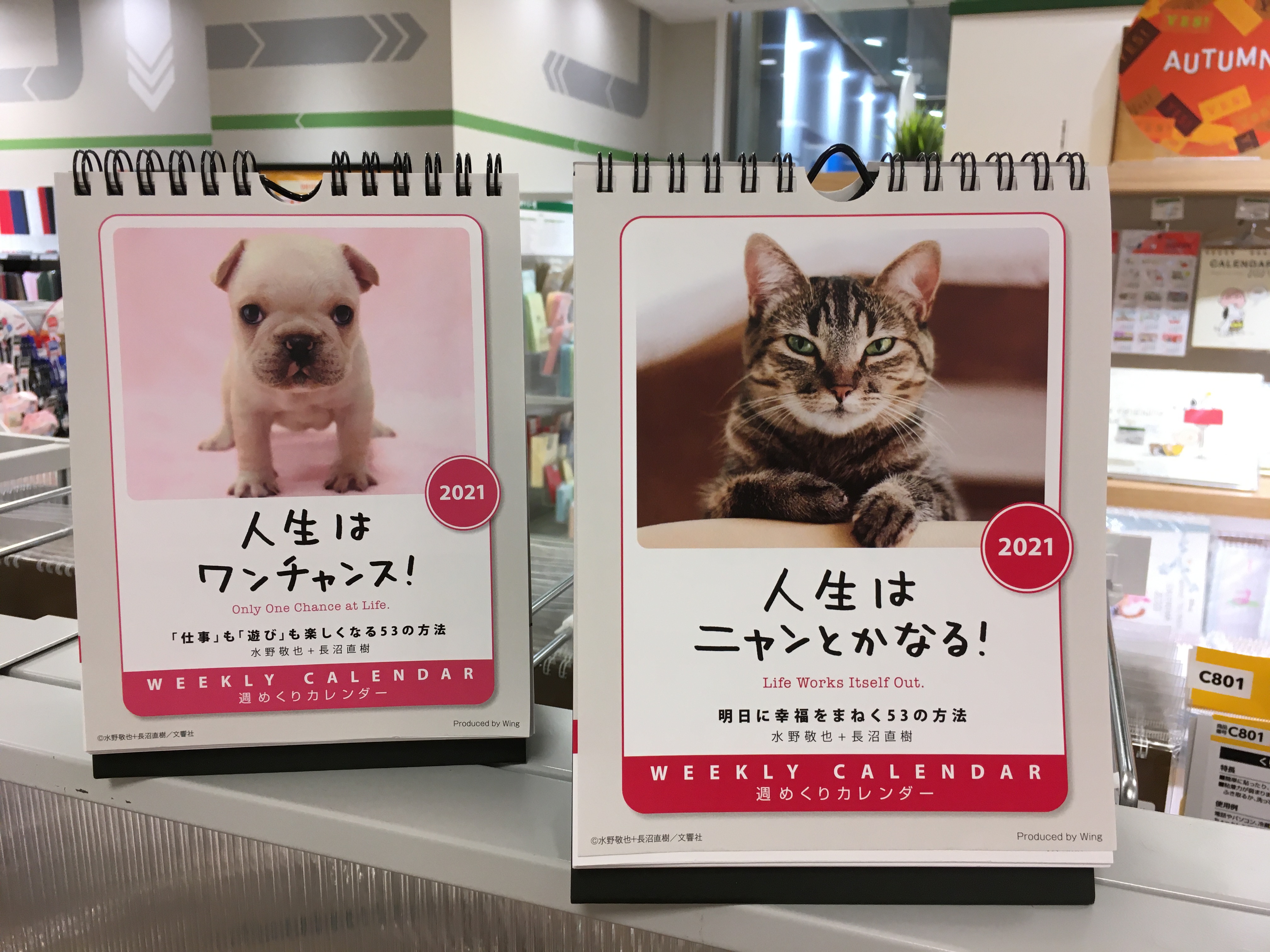 東急ハンズ仙台店 ワンちゃん ネコちゃんから教わることもたくさんあります 週替りの週めくりカレンダーで 癒しを与えてくれるだけでなく 人生で大切な名言を教えてくれます 人生はワンチャンス 人生はニャンとかなる 1430 税込 名言