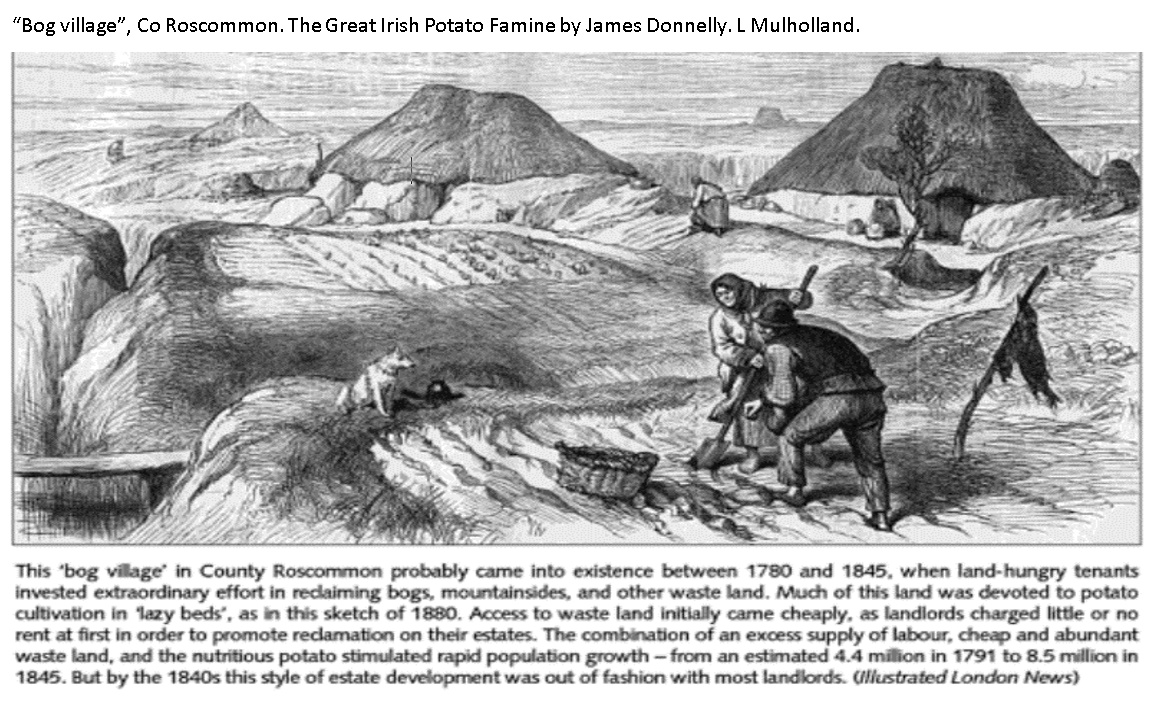 Potato background contd. -Oatmeal, increasingly required to fulfil rent rather than food.-Cows/milk beyond reach of poor farmers.-For poor (3 million?), >90% nutritional needs met by potato!-1835 Poor Law Commissioners Report: 2.3 million living in dire poverty in Ireland.