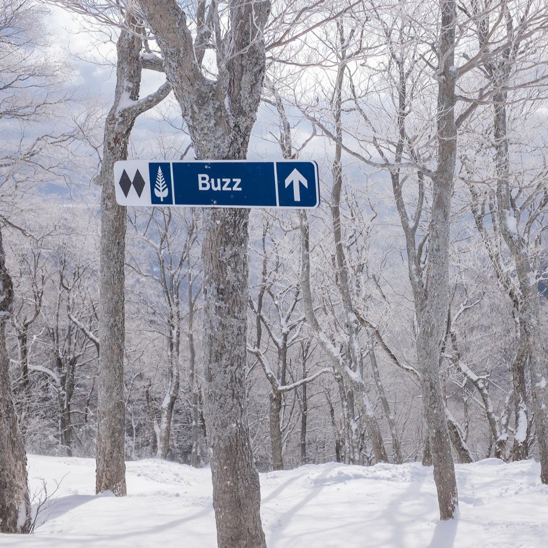 Have you skied a double black diamond run? 

You don't need to be an expert skier/boarder to join our courses. We've structured them so you'll always be practising in a group with a similar level of experience. ⛷🏂

We'll have you conquering double black diamond runs!