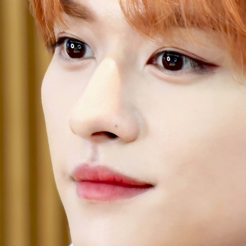 ˗ˋˏ°• a thread of minho's nose   mole because it deserves       some appreciation •°ˎˊ˗