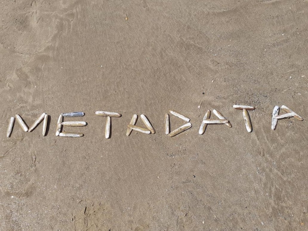 Excited about #CilipMDG20? We are! Day 1 Bigness; Day 2 Collections; Day 3 Metadata enhancement; Day 4 Acquisitions &amp; Ethics. Fri 11th RDA. Something for everyone! Thanks to our speakers, panellists &amp; everyone who has registered.