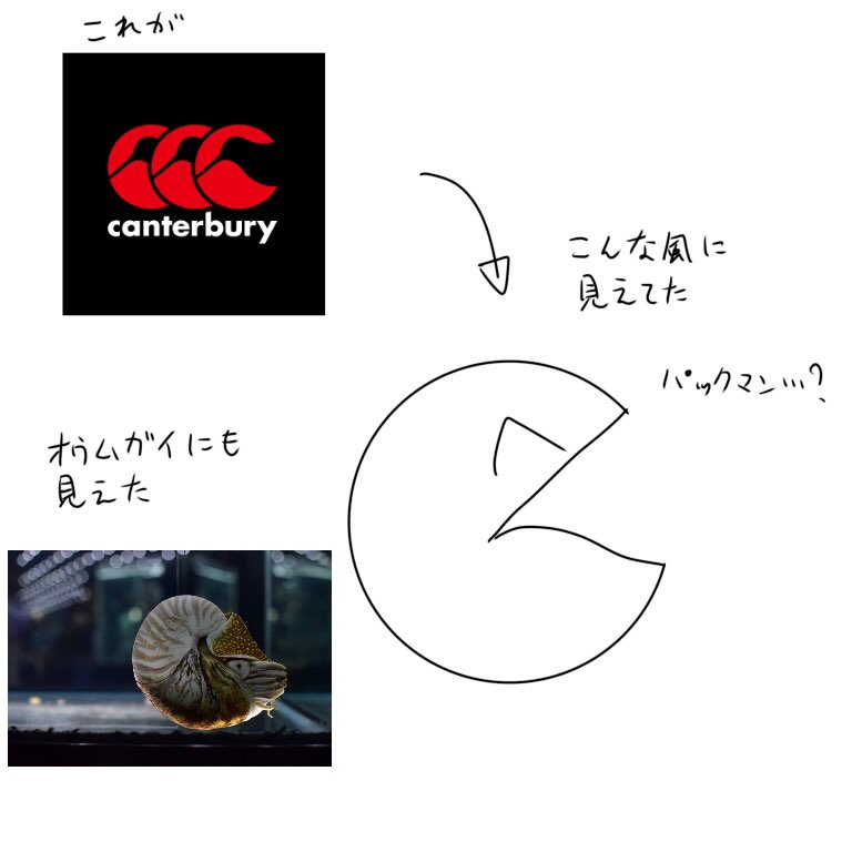 20数年生きてて初めて気づいた事実 