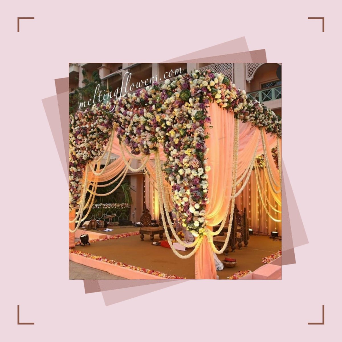 meltingflowers's tweet photo. Spruce up your wedding with melting flowers.

Call us on 7687008700 for booking.
.
.

#Covid19wedding #Covid19WeddingDecor #Covid19FlowerDecor #Covid19Weddings #Covind19EventDecor #LatestTheme #TrendingWeddingTheme #WeddingInBangalore #BangaloreWedding https://t.co/dPO2nLEhmH