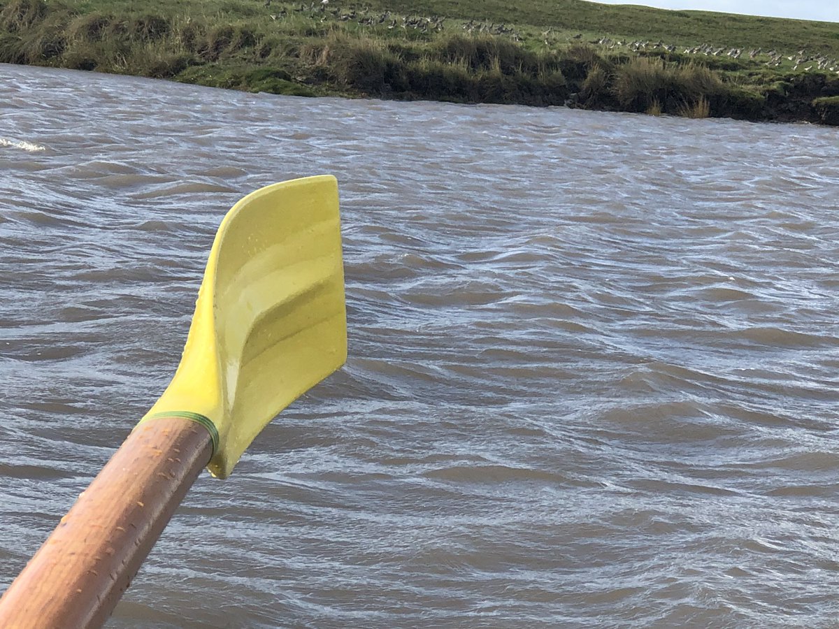 MrsLawr93368261's tweet photo. Back to rowing - beautiful morning - got very wet when we were launching. Lots of birds - saw an egret, flock of lapwings circled the gig - truly stunning #gigrow #burnhamonsea #somerset #Wellbeing https://t.co/HGKDQJ9oZx