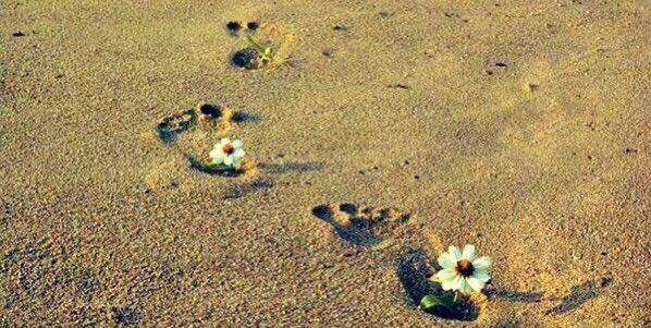 اجعل خطواتك فِي الحياة كـمن يمشي على الرَّمل لا يُسمع صَوته ولكن أثَره واضح🍃.