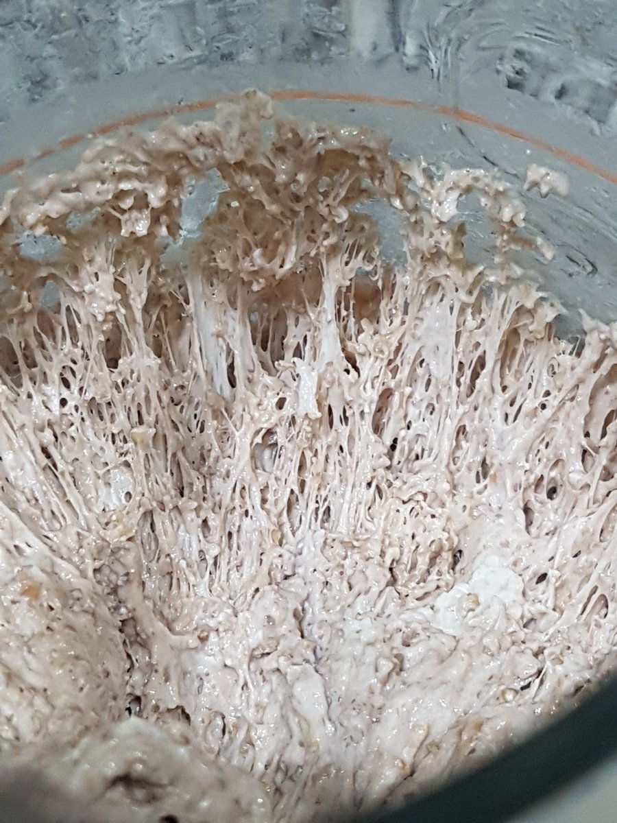 Jittikant's tweet photo. มาเลั้ยงสตาร์ทเตอร์ที่แข็งแรงกันเถอะ
#ชุมชนขนมปัง
#Yeast_water
#Natural_yeast
#RayraiHomemade
#halalbakery
สูตรและวิธีทำอยู่ที่นี่ค่ะ
https://t.co/NEJj2CSkZE https://t.co/Q0unLvd3Vd