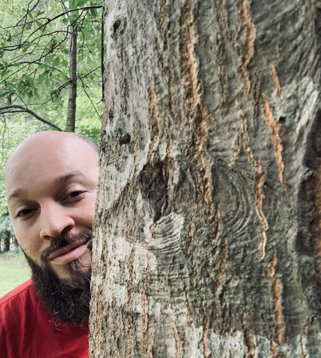 🌳🌳Peek a boo! Nature is my sanctuary 🌳🌳 #nature #naturelover #forest #tree #beard #BEARDS #bearded #faerie #magick #realwizard #malewitch #beardedman #beardgang #witchesoftwitter