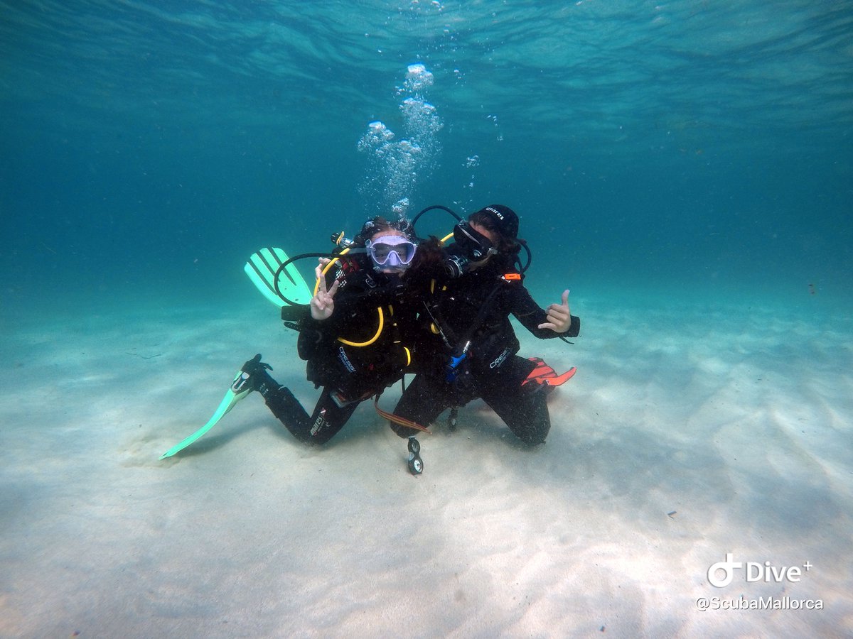 scubamallorca's tweet photo. Never too late, never too early 🤙🏽😬😍
.
El buceo es una actividad MUY especial, divertida, segura e inolvidable, perfecta para realizar tú sólo, con amigos o con la familia!
.
Incluso con los más peques de la casa! A partir de 8 años 😱😍🙈 https://t.co/eIAGxIxfWC