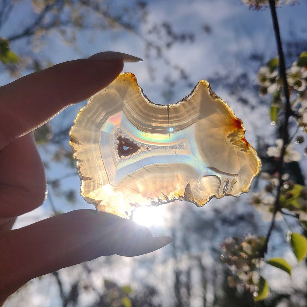 NitinRampuria's tweet photo. Put some sparkle in your life, as the shine of the sun🌞 does in gemstones that always looks like the cherry🍒 on the top. Similarly, let the crystals🔮 help in glimmering🌟 your life and clearing your muddles. 🤗
img: @simplyaffinity 
#Sparkle #Crystal #crystals #crystalhealing https://t.co/Radf7J9nYu