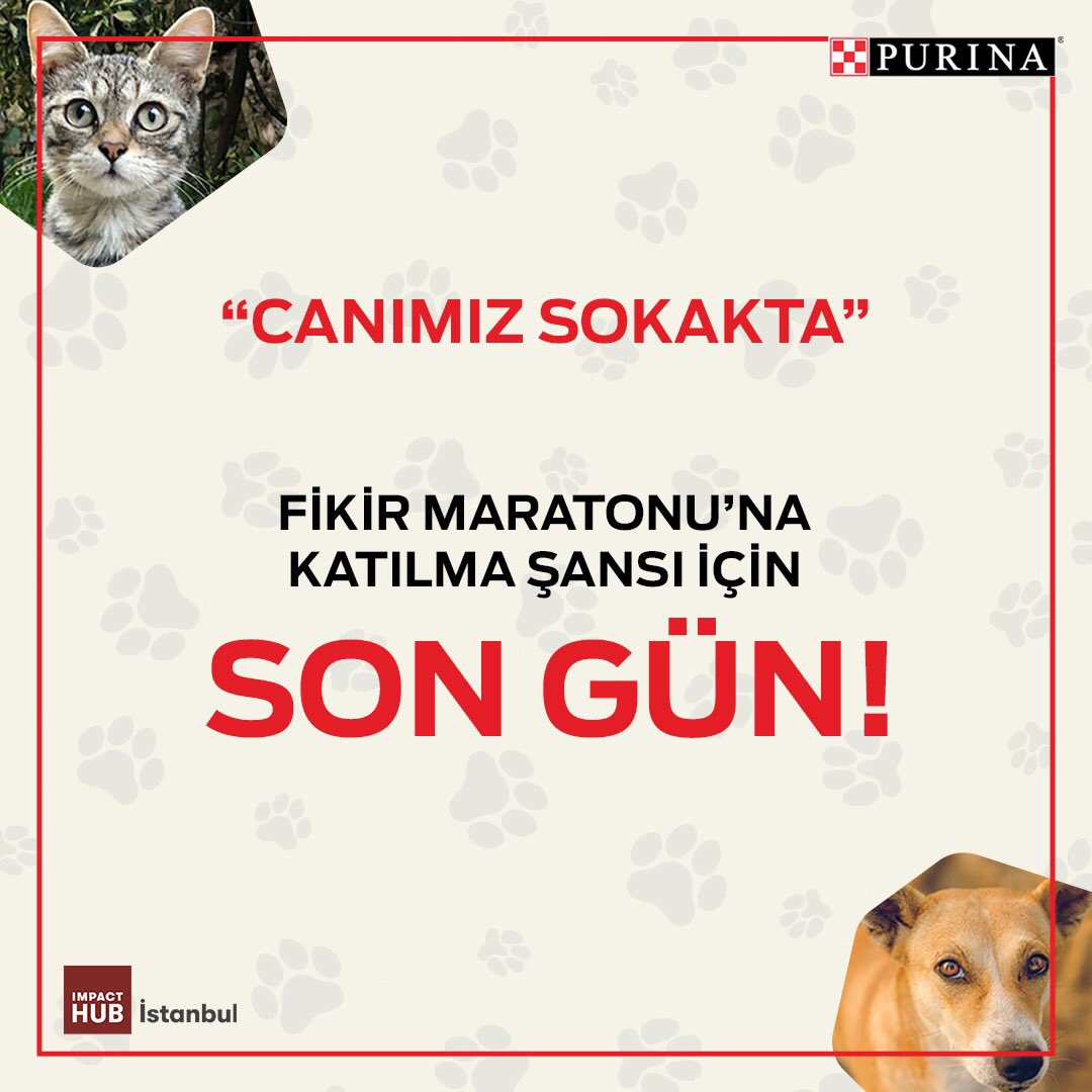Haydi onların yaşamını birlikte iyileştirelim! Onlara destek olabileceğin fikir maratonuna başvuru için son gün! Proje fikrinle bit.ly/2ErfA66 linkinden hemen başvur, 11-12-13 Eylül’deki fikir maratonuna katılma şansını yakala #CanımızSokakta