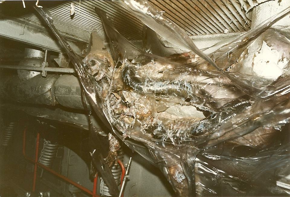 James Cameron's Aliens (1986): On the fusion-powered atmosphere processing station set.

"My friend's father recently showed us these images he captured while working as an electrician at Acton Lane Power Station."
Photographer: Christopher Archer.