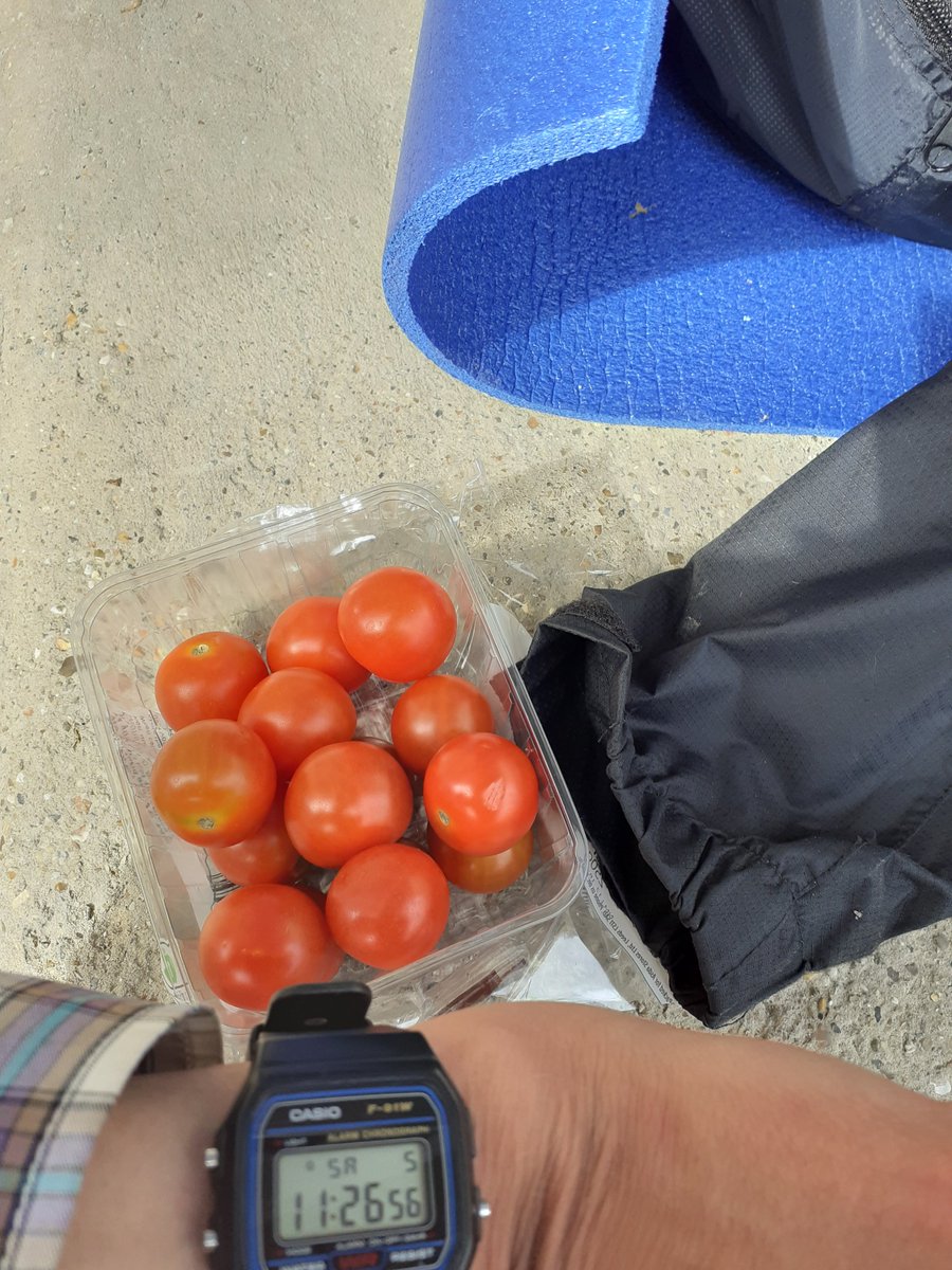 BillieHuman's tweet image. Either #suddenly #alergic to #Tomatoes OR #Novichok type #Posion from 2sources #CupOfTea luckily my #Barbeque #Chicken was a bit #Burnt #Nebraska #Kansa #ANYONE #GetMeOutOfUK They will #WatchMyMurder then cry saying such a shame but what could we of done #PoliticalMurder #LotsAre