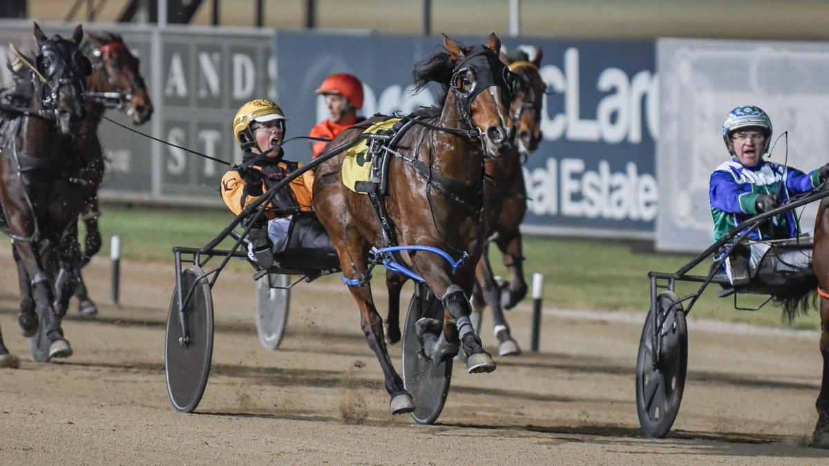 Club Menangle tweet media