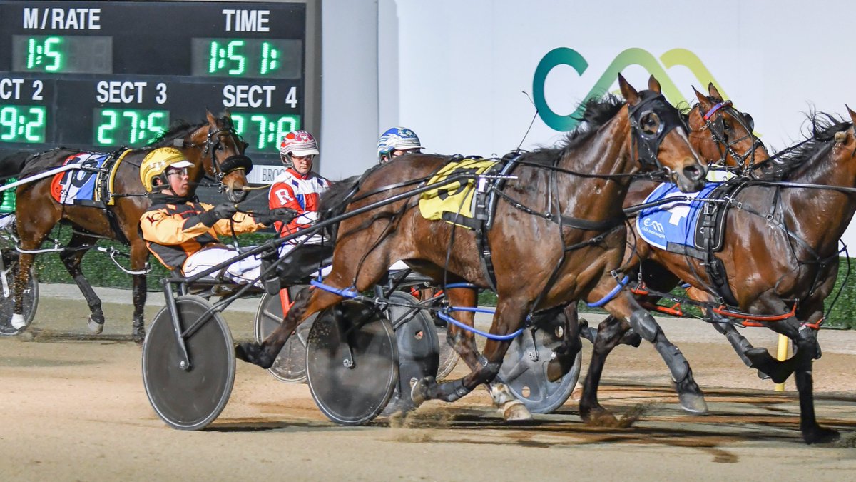 𝐍𝐚𝐭𝐢𝐨𝐧𝐚𝐥𝐭𝐫𝐨𝐭𝐠𝐮𝐢𝐝𝐞.𝐜𝐨𝐦.𝐚𝐮 𝐏𝐚𝐜𝐞 (𝐇𝐞𝐚𝐭 𝟑) - nationaltrotguide.com.au 

🐴 ROCKITA (50k in lifetime stakes)
𝐓𝐑𝐀𝐈𝐍𝐄𝐑: Craig Cross (training double)
𝐃𝐑𝐈𝐕𝐄𝐑: Jack Callaghan 
📹 youtube.com/watch?v=KovWPJ…