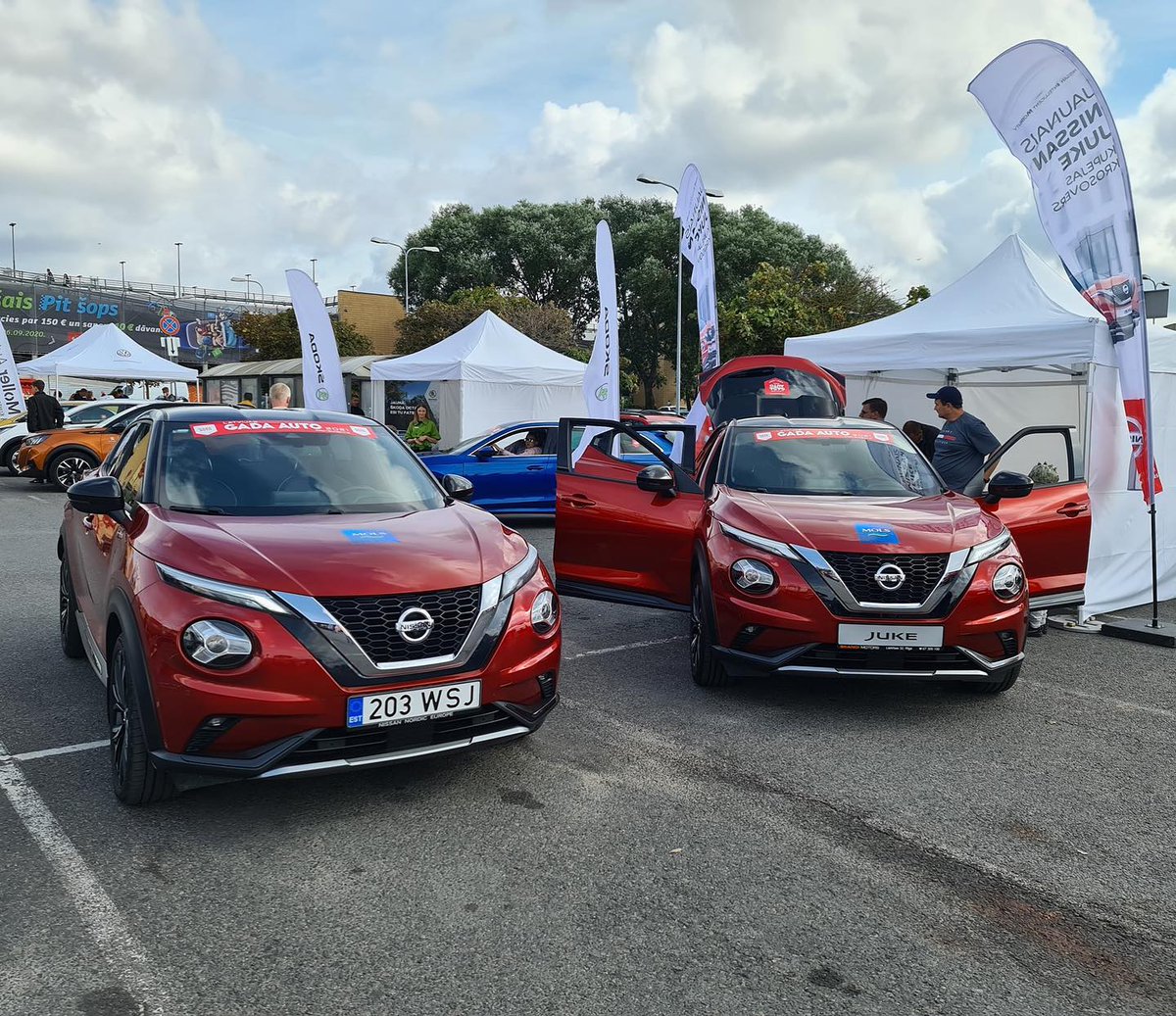 T/c MOLS tweet media