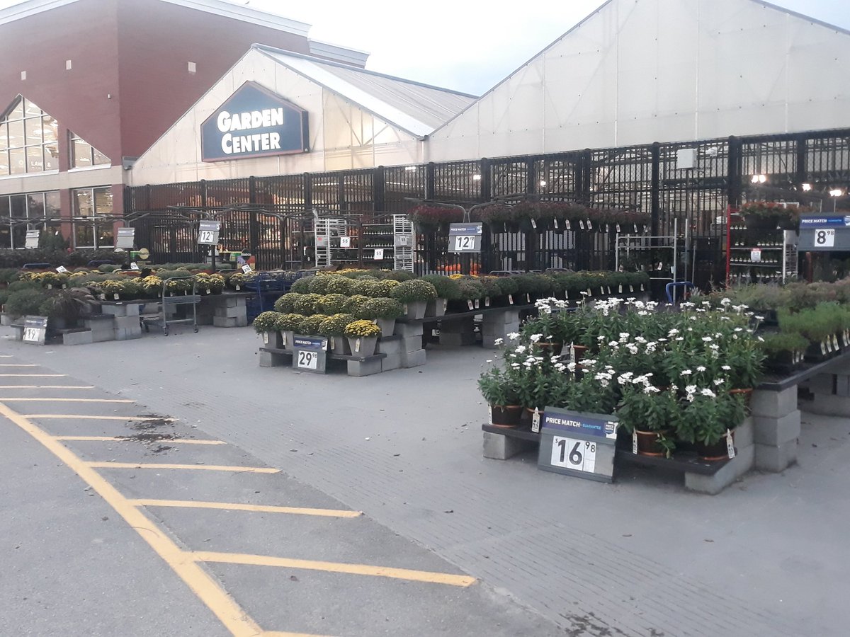 Nicholas (@nichola96456869) on Twitter photo Garden Center at Lowe's 1546 is stocked and ready for all your Fall planting needs!! <a href="/jeremybeas1/">Jeremy Beasley</a> <a href="/eric_marler/">Eric Marler</a> <a href="/BlueBoxR1/">@BlueBoxR1</a> Garden Center at Lowe's 1546 is stocked and ready for all your Fall planting needs!! <a href="/jeremybeas1/">Jeremy Beasley</a> <a href="/eric_marler/">Eric Marler</a> <a href="/BlueBoxR1/">@BlueBoxR1</a>