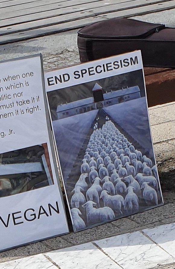 The genocide of Jewish people did not happen for your animal rights campaign to gain maximum shock value. Jews weren’t even killed for money so it’s a stupid comparison. You picked us because you thought we were an easy target....