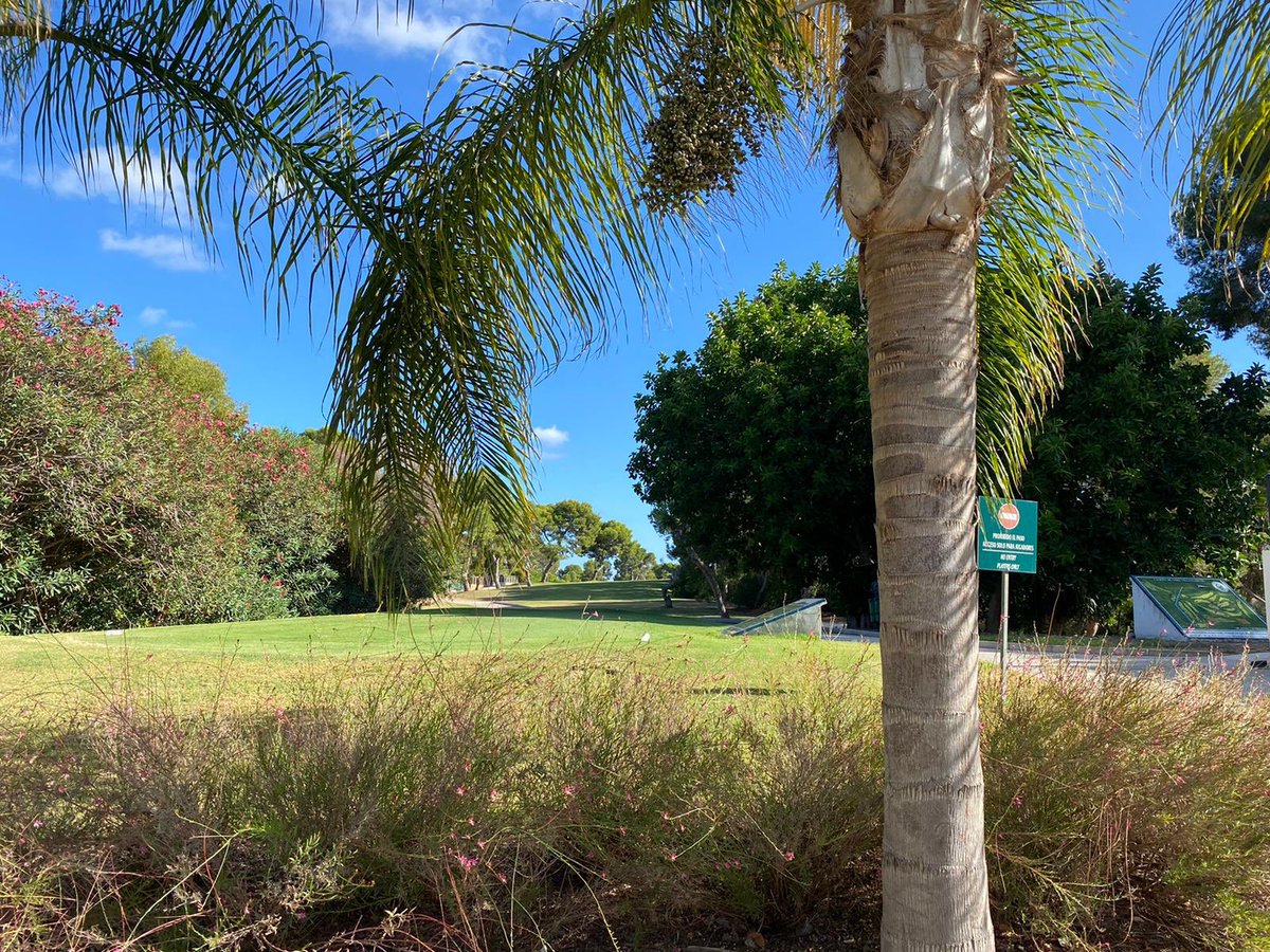 maria_burguete's tweet photo. El club de golf Villamartín (Orihuela), inaugurado en 1972, cuenta con un diseño divertido donde los haya al estar situado en una vaguada con vistas al mar en varios hoyos. Este par 72 fue construido por el Sr. Putmann. #muyrecomendable #camposdeespaña #localplayer https://t.co/IjYnklyDlD