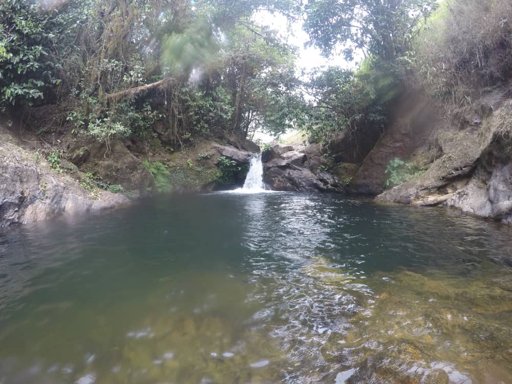 obuducc's tweet photo. Just go with the flow
#cleanwater#nature#streams#lakes#ocean#rivers https://t.co/I8JkNM6iwI
