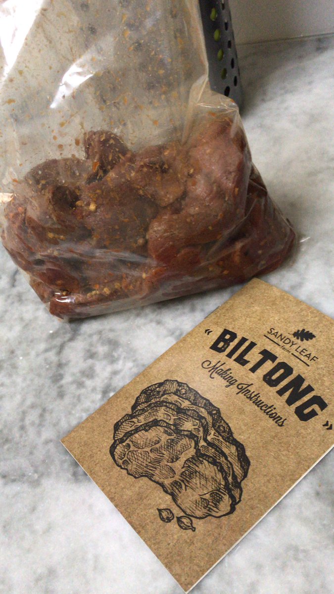 Mike 🏴󠁧󠁢󠁥󠁮󠁧󠁿 🇵🇭 🇹🇭 🇸🇦 🏴‍☠️ tweet media