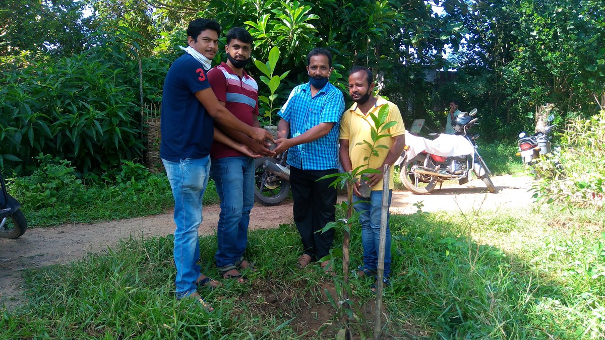 gnyanaranjanctc's tweet photo. #continuing_12th_day_plantation_and_maintainance_activity_on_teachers_day
ଶପଥ ନିଅ ମୋ ଭାଈ ଭଉଣୀଏ
 ଗଛଟିଏ ଆମେ ପୋତିବା
ପ୍ରଦୁଷଣ  ମୁକ୍ତ ପରିବେଶ  କରି
ଜାତି କଲ୍ୟାଣେ ଲାଗିବା॥
@satyaparida01 @pkmerkap @saveenergymahi @ForestDeptt @AdmnNayagarh @drqayumiitk @Sahooalok77 @BBSRBuzz https://t.co/JwGlgJX9KU