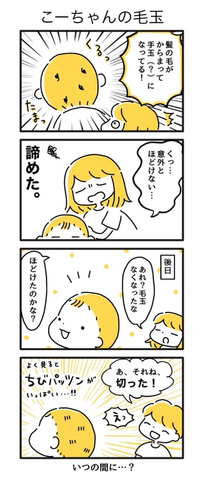 そういえば、最近しばらく毛玉できてないな~? 