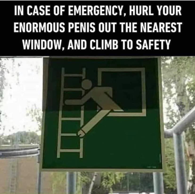 🤣🤣🤣