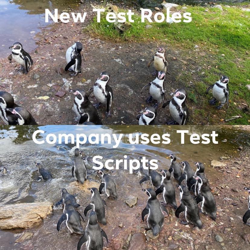 conorfi's tweet image. One for the testers too 😁.
#TestScripts 🙈