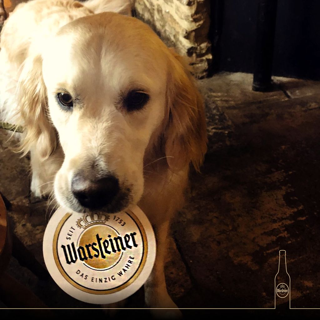 When you don't speak the language but you're serious about beer too...🐶
📸: @the_lady_gun https://t.co/hRyw0WAHsG