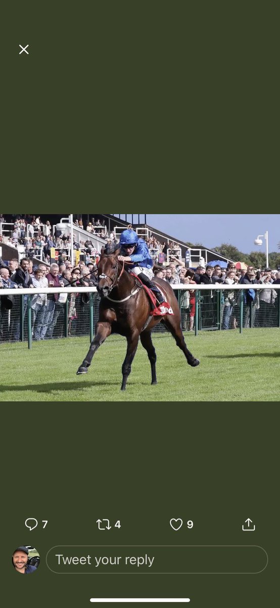 S_Casey46's tweet photo. @DarleyEurope @godolphin @haydockraces https://t.co/A4GcfLH6PS