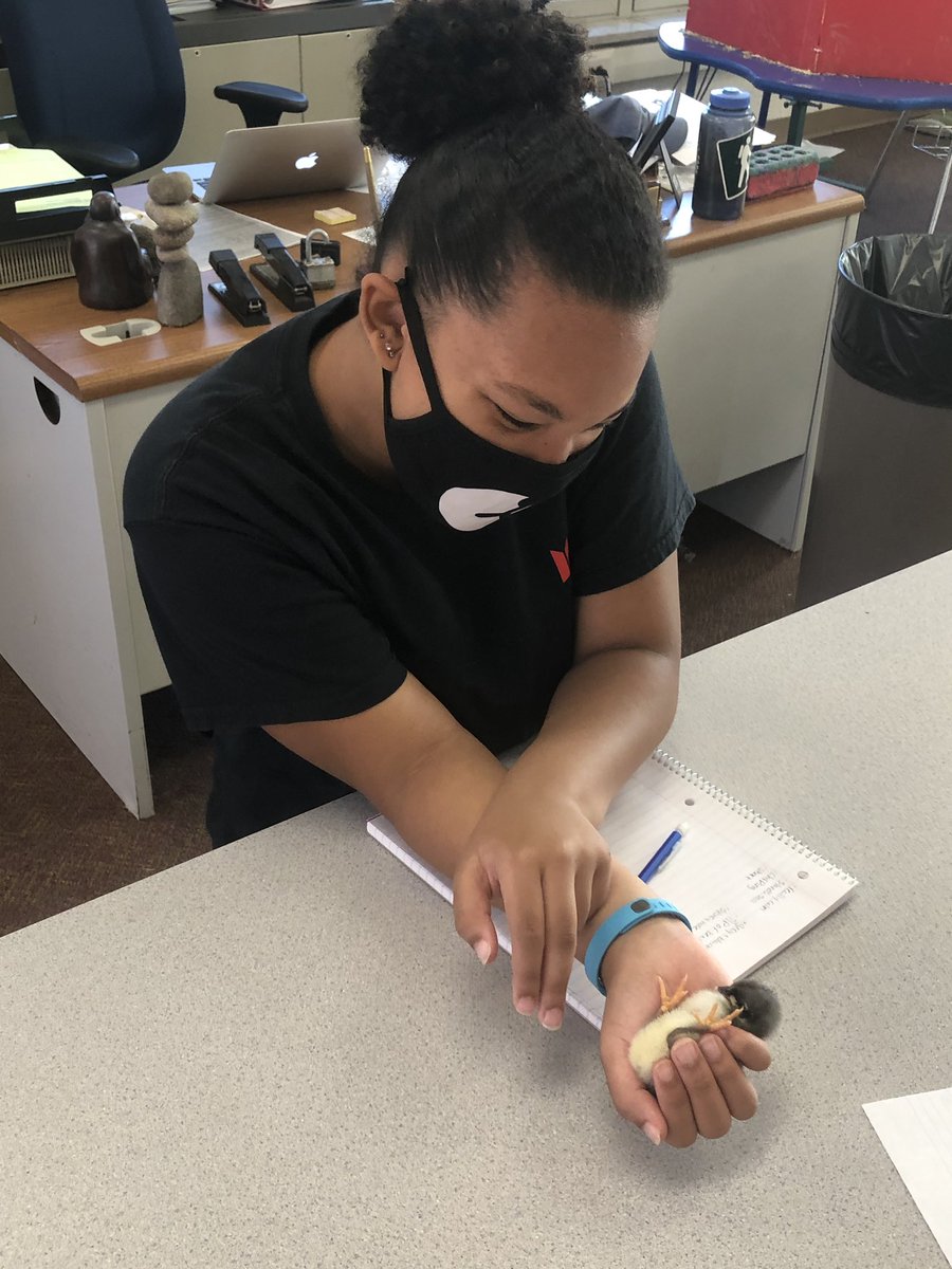 Euclid High School tweet media