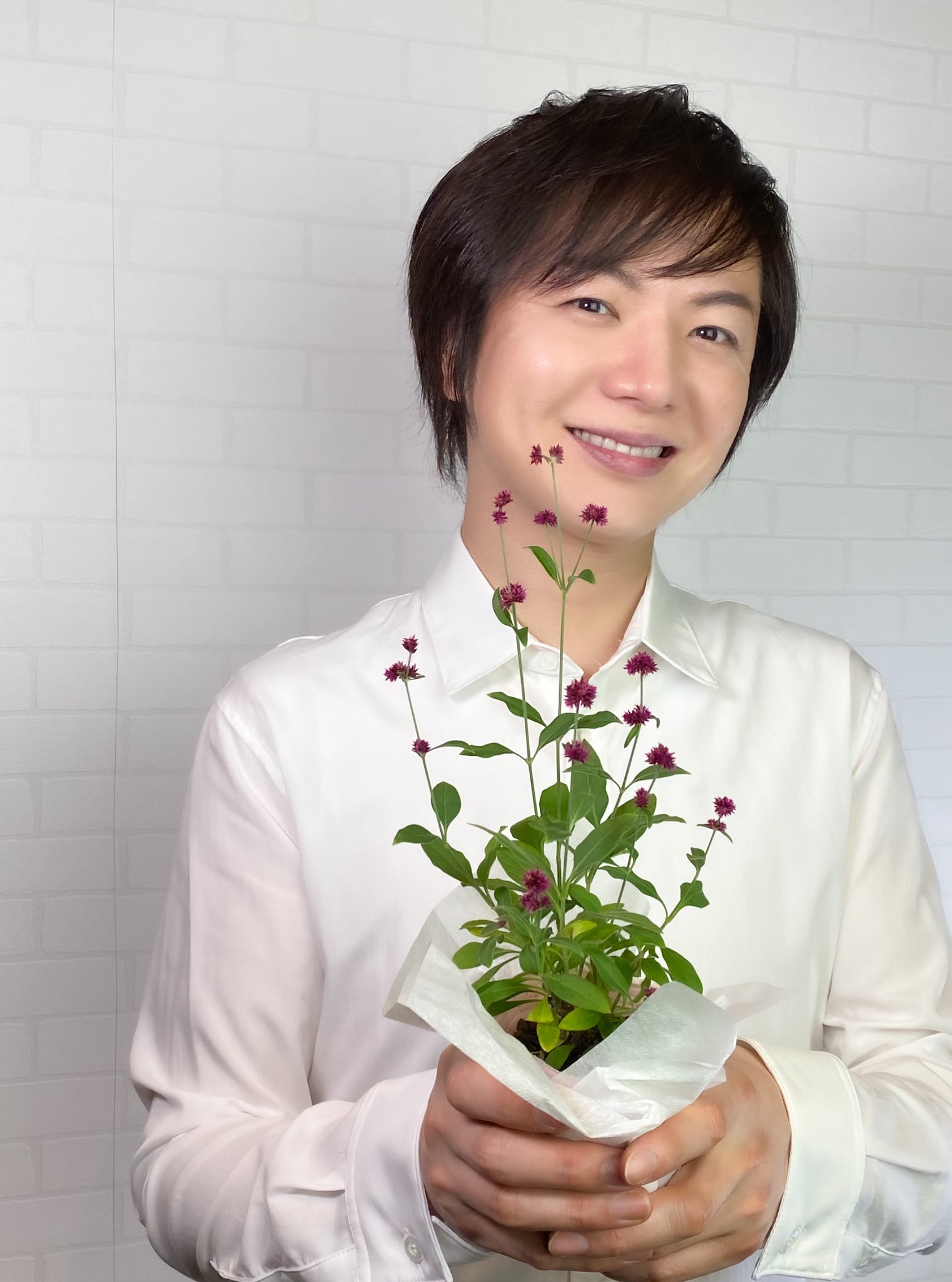 竹島宏スタッフ 公式 千紅花火 花言葉は 不老長寿 小さなローズピンクの花が 次々と咲く姿は線香花火の ように儚げで美しい 今日も１日お疲れ様でした 台風 大きな被害が出ない ことを願ってます ひろネット 花 Flower 花言葉 絆