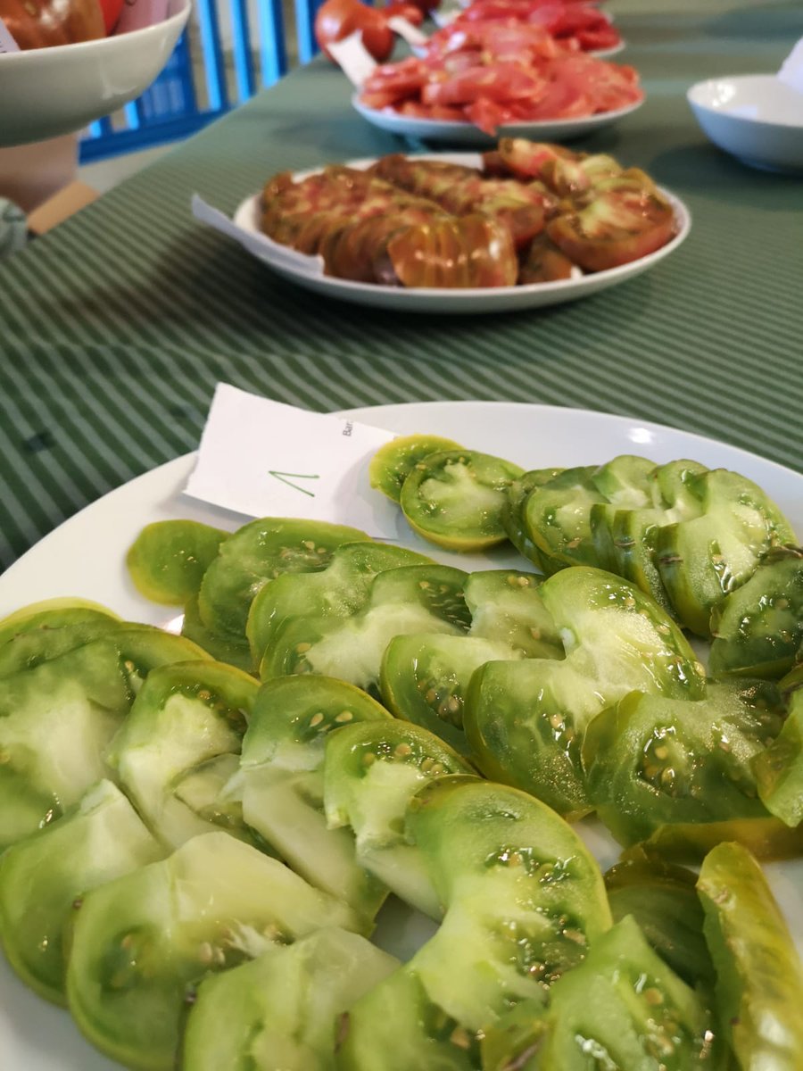 navarraeco's tweet photo. Cata popular de tomates #ecologicos
18 variedades de todo Navarra! 
Nafarroako tomate ekologikoen dastaketa... Ze goxoak! 
Tomatea udakoa da 🍅
El tomate es de verano 🍅 https://t.co/lnLl5ZSoFv