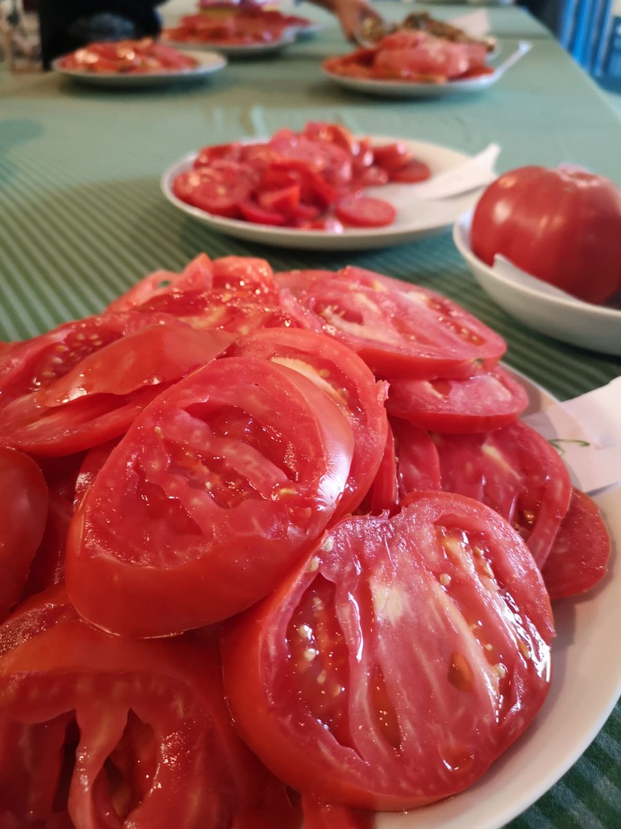 navarraeco's tweet photo. Cata popular de tomates #ecologicos
18 variedades de todo Navarra! 
Nafarroako tomate ekologikoen dastaketa... Ze goxoak! 
Tomatea udakoa da 🍅
El tomate es de verano 🍅 https://t.co/lnLl5ZSoFv
