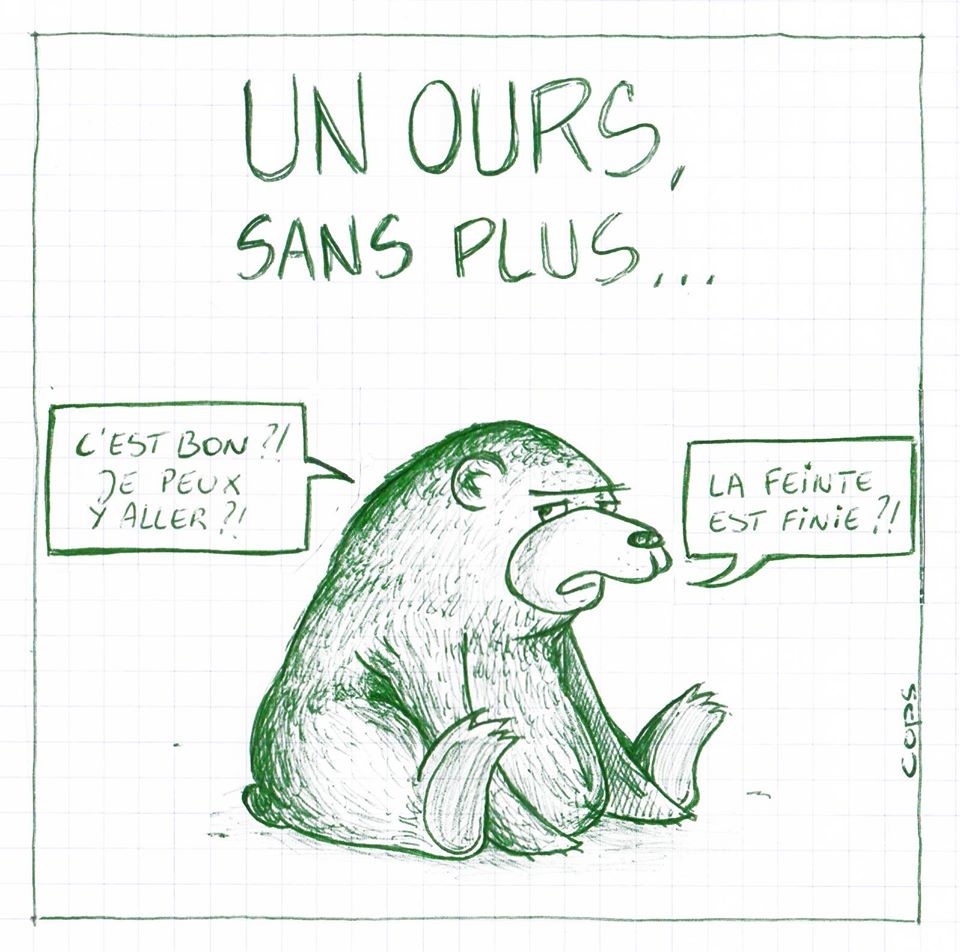 BlaguesDessins's tweet photo. Le dessin de Cops : Un ours, sans plus
Retrouvez tous les dessins de Cops sur le site
https://t.co/1Qncc4DT77
#DessinDeCops #LesVilainsPetitsCrobards #Cops #Humour #FallaitPasFumer #Ours #OursEnPeluche #SansPlus #Feinte #Peluche https://t.co/tCMJb4P8Or