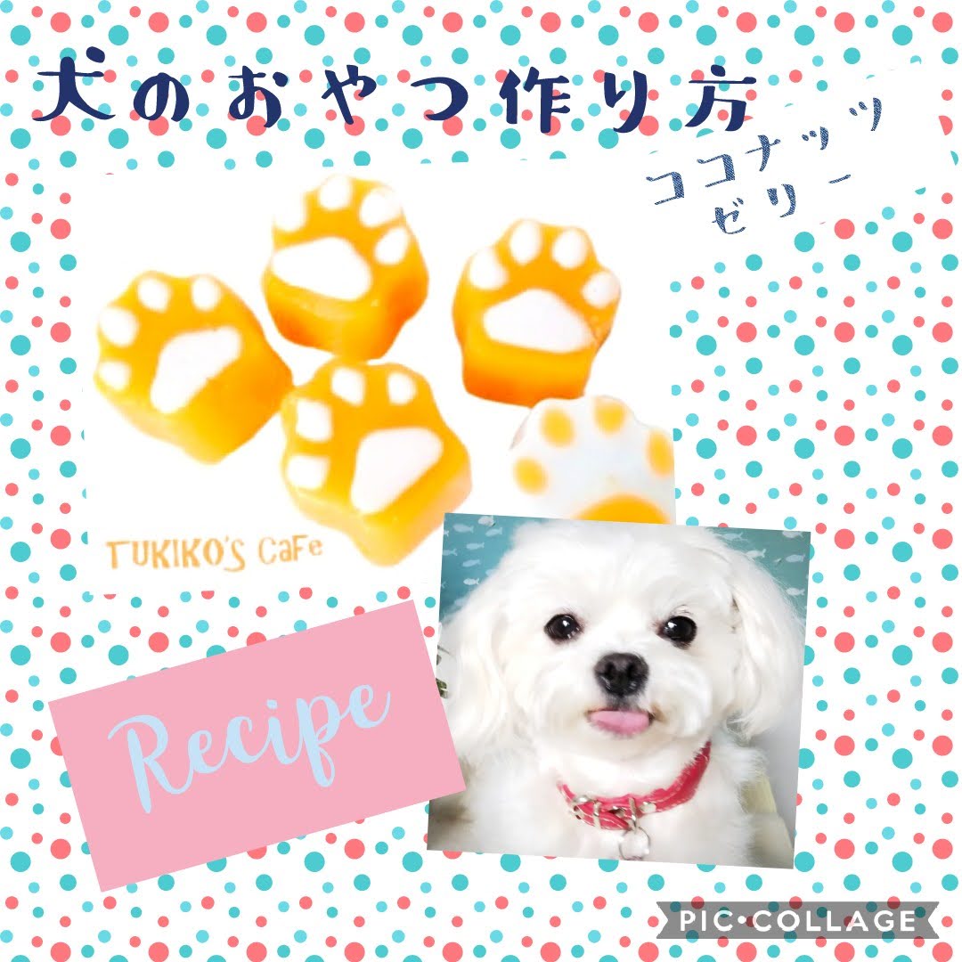 犬のおやつレシピ はに Inuoyatu Twitter