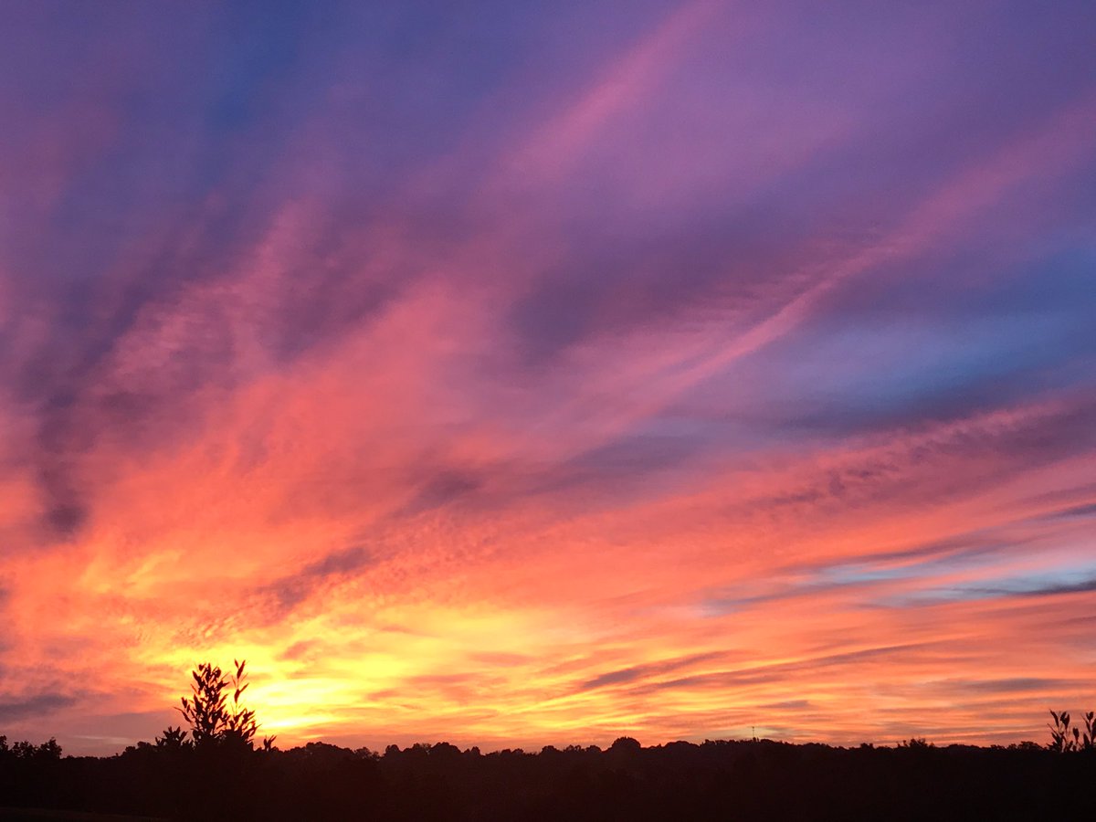 kyfloyd's tweet image. He brings a smile to a grateful home  this morning. And no small amount of wonder. 
#Derby2020