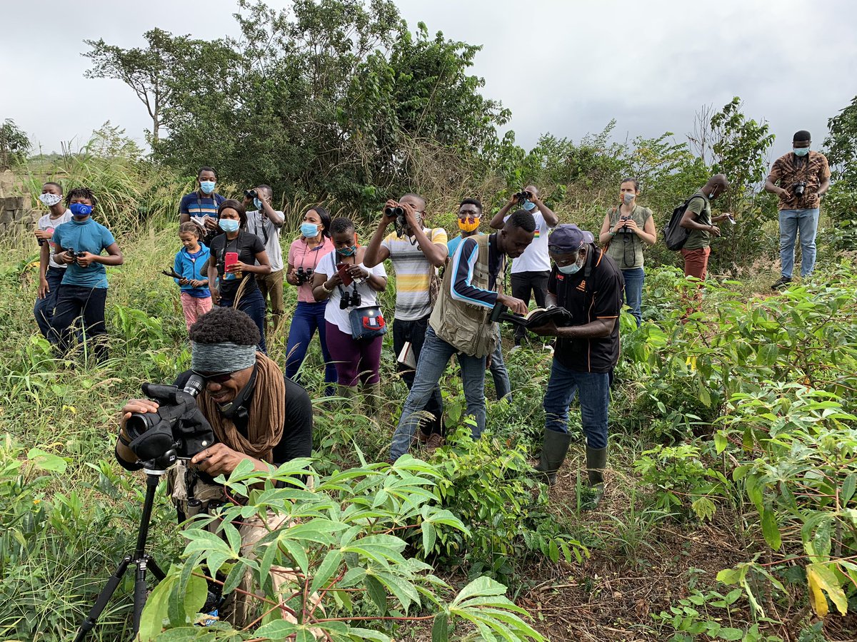 Australian High Commission, Ghana (@ausambgha) on Twitter photo With over 700 birds to find, there’s no better place than Ghana for bird watching. It was awesome to spend a few hours in Obosomase near Aburi this morning with fellow Ghanaian and ‘obroni’ birders. Thanks <a href="/ghwildlifesoc/">Ghana Wildlife Society</a> and <a href="/BirdLifeAfrica/">BirdLife Africa</a> friends for the invitation. With over 700 birds to find, there’s no better place than Ghana for bird watching. It was awesome to spend a few hours in Obosomase near Aburi this morning with fellow Ghanaian and ‘obroni’ birders. Thanks <a href="/ghwildlifesoc/">Ghana Wildlife Society</a> and <a href="/BirdLifeAfrica/">BirdLife Africa</a> friends for the invitation.