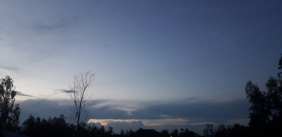 ซินเฟย | ไม่ว่าง tweet media