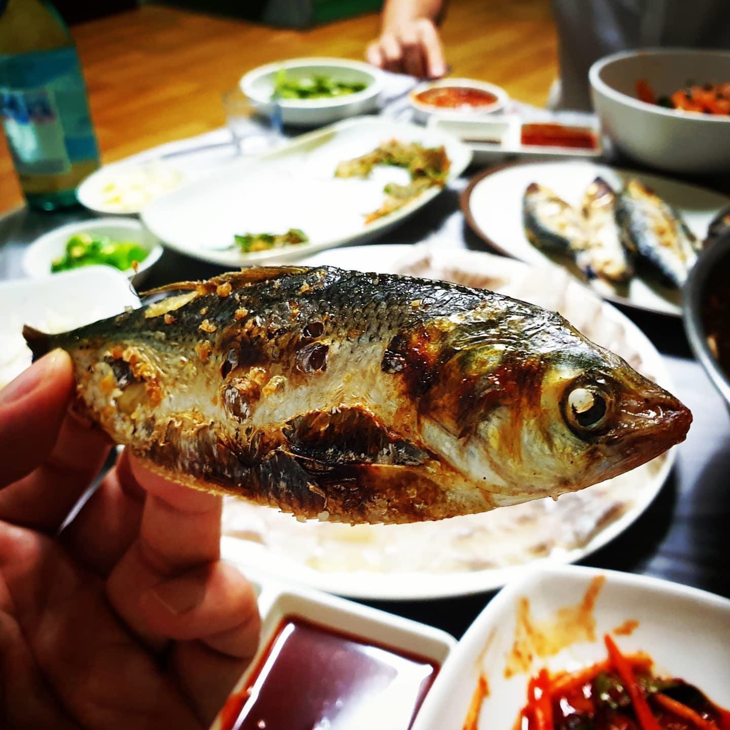 池成林 韓国の秋の魚と言えばと韓国人に聞いたら전어 銭魚 コノシロ と答える人が多いです 日本で馴染みのある コハダの出世魚전어は刺身も美味しいですが 전어 굽는 냄새에 집 나간 며느리가 돌아온다 コノシロを焼くにおいに家出した嫁が戻ってくる と