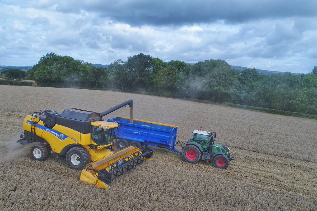 CorbettfarmsLtd tweet media