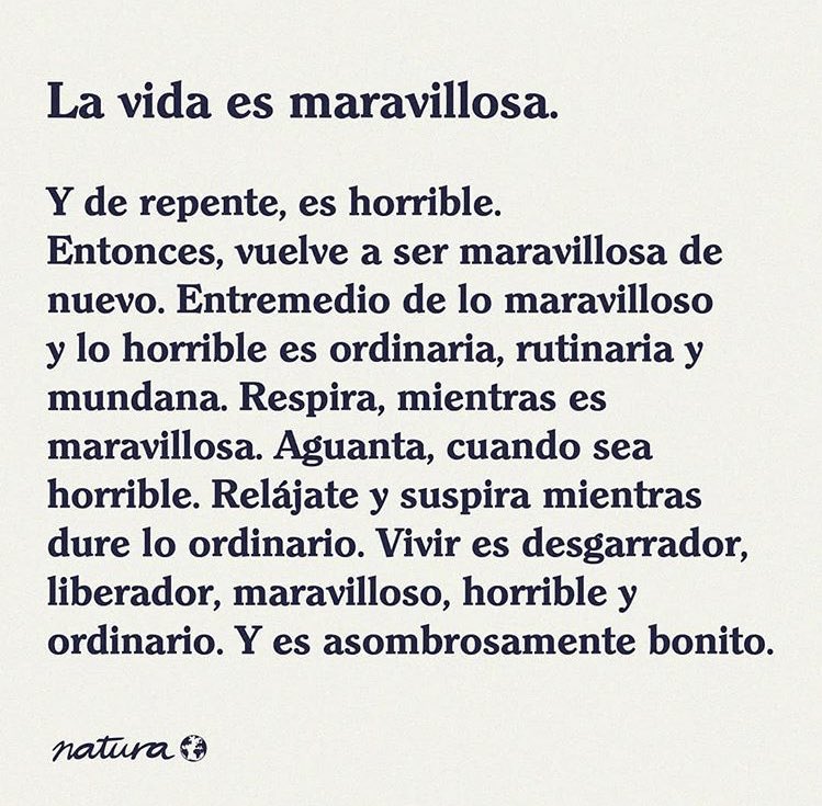 Maria José 🌻 tweet media