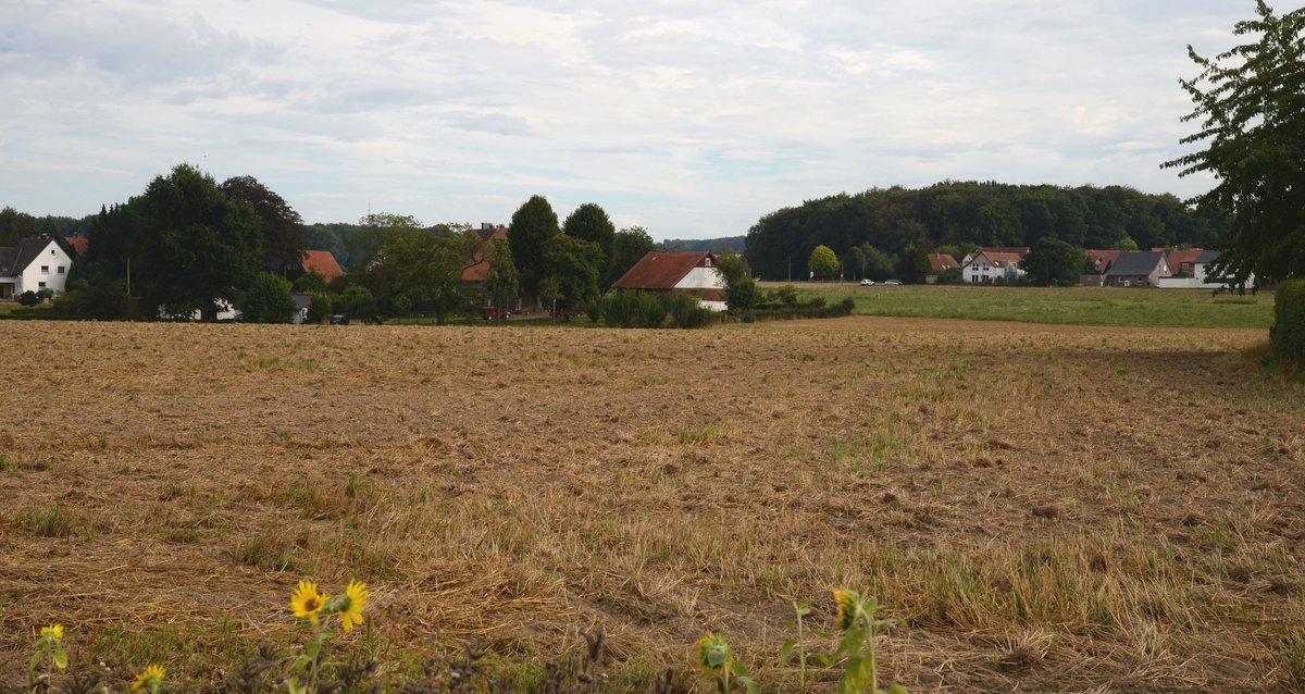 Süthfeld II: Die Grundeigentümer warten auf den Besuch der Bürgermeisterin, um über den Ankauf der Flächen durch die Stadt zu sprechen. Alle Fraktionen, außer der UWG, wollen lieber ohne Fristsetzung abwarten. #UWGWerther