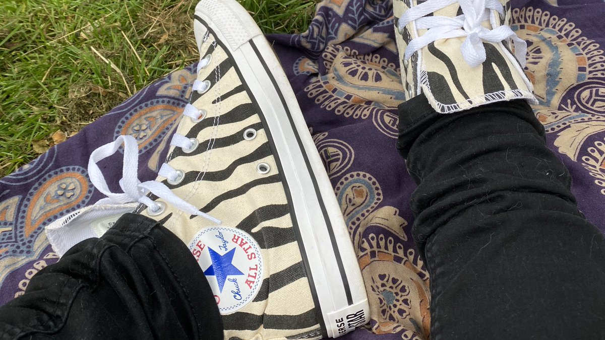 freddi_rose's tweet photo. Flying my flag proudly
#hEDS #Zebra #EDSZebra https://t.co/RdjxyYzOt6