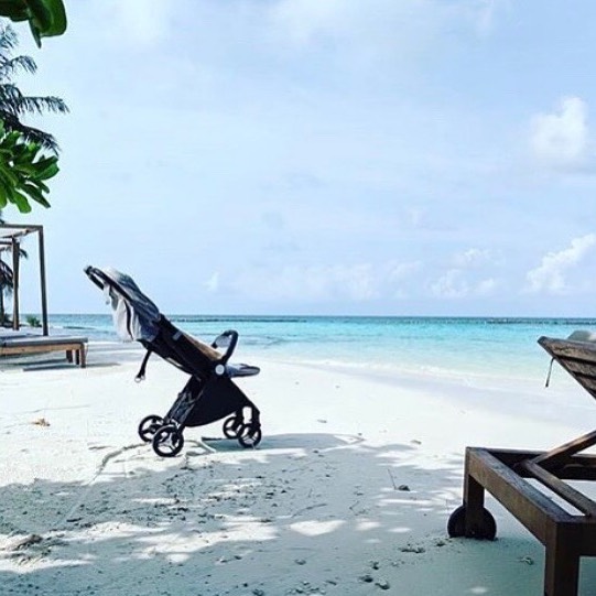 DearBornBaby tweet media